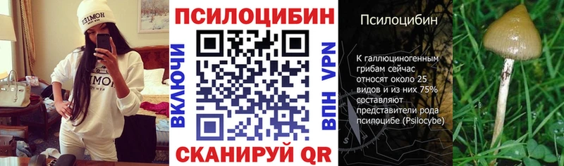 Псилоцибиновые грибы Magic Shrooms  Спасск-Рязанский 